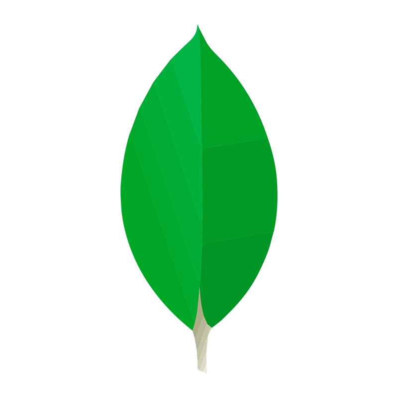 MongoDB